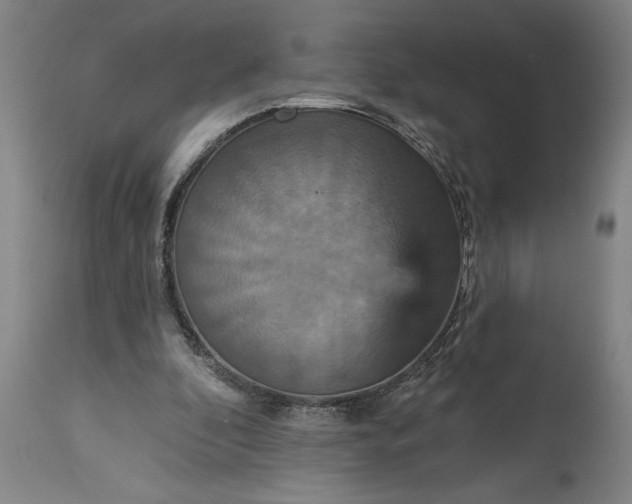 X0000115450296200911181553