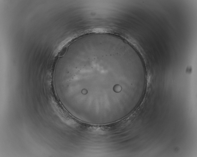 X0000115450297200911181553