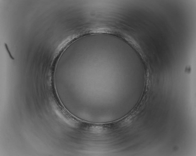 X0000115450298200911181553