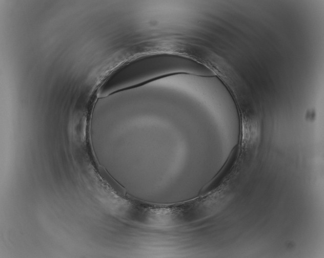 X0000115450301200911181553