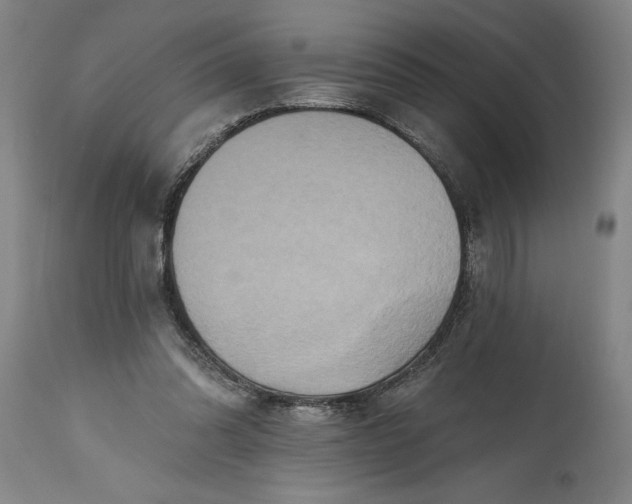 X0000115450302200911181553