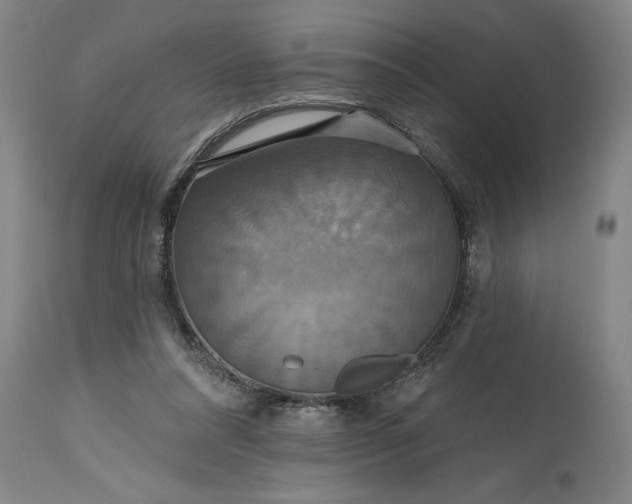 X0000115450304200911181553