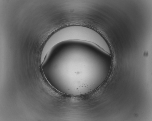 X0000115450305200911181553