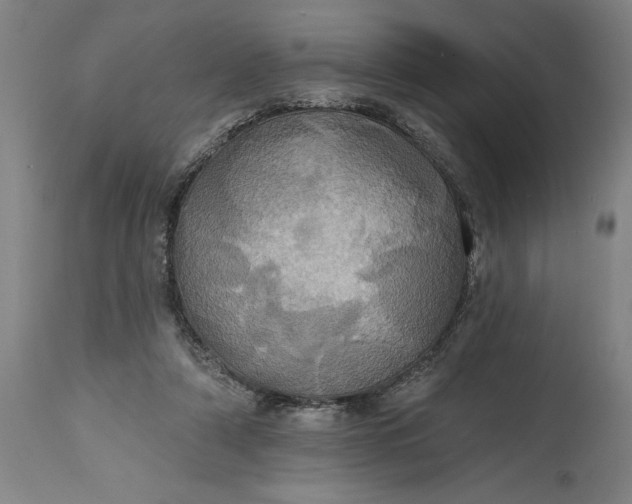 X0000115450306200911181553