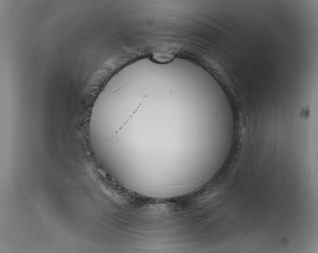 X0000115450307200911181553