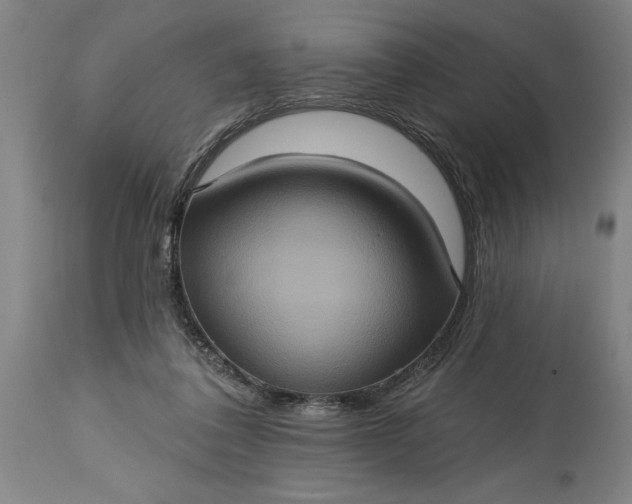 X0000115450308200911181553