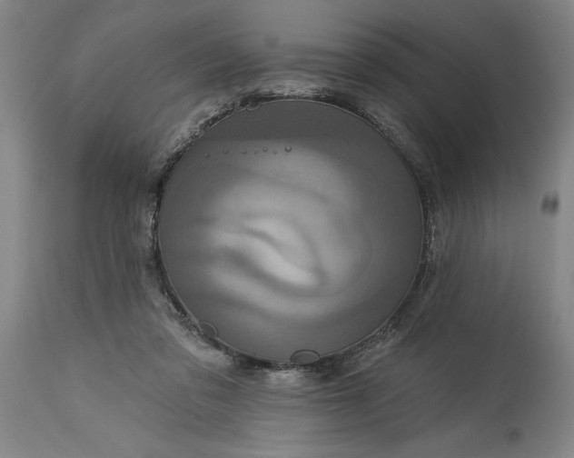 X0000115450309200911181553