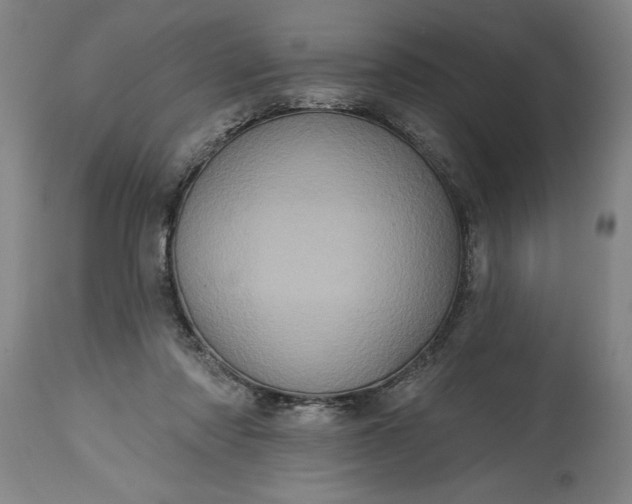 X0000115450310200911181553