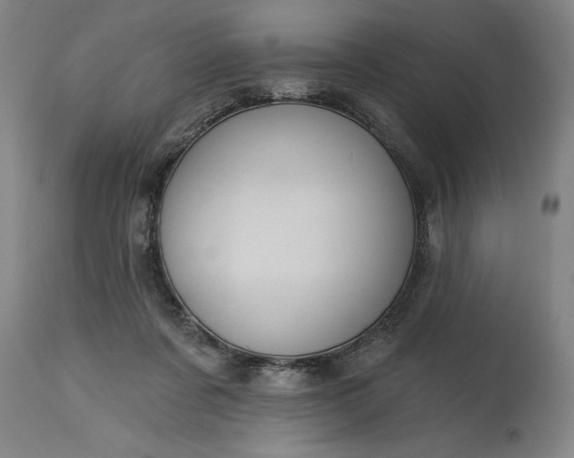 X0000115450311200911181553