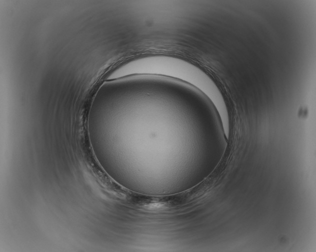 X0000115450312200911181553