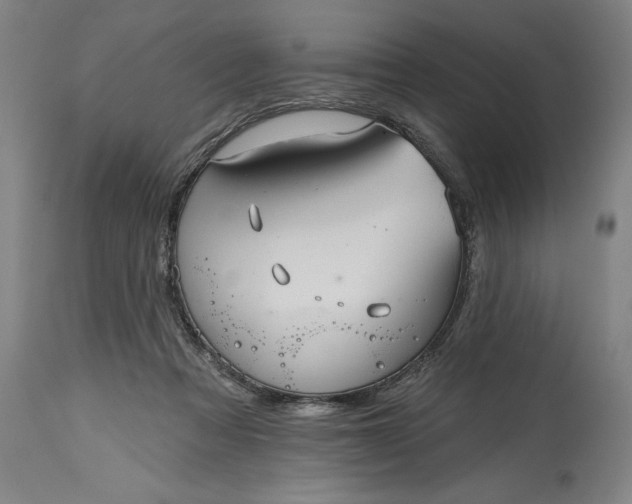 X0000115450313200911181553