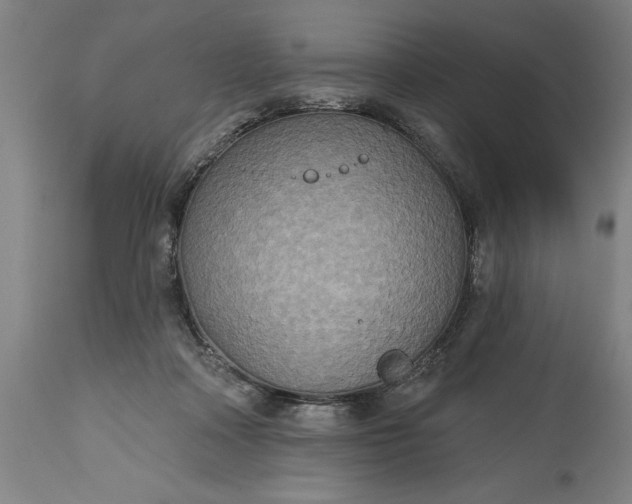 X0000115450314200911181553