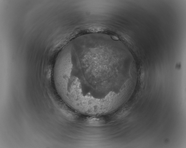 X0000115450315200911181553