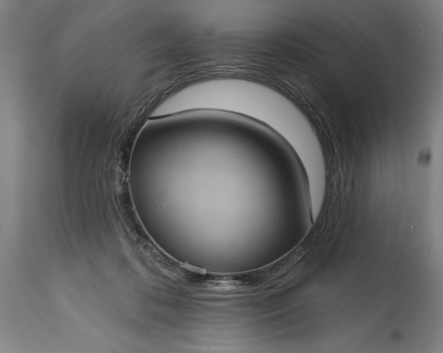 X0000115450316200911181553