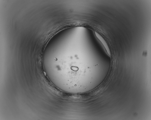 X0000115450317200911181553