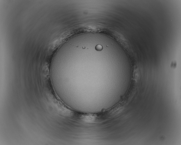 X0000115450318200911181553