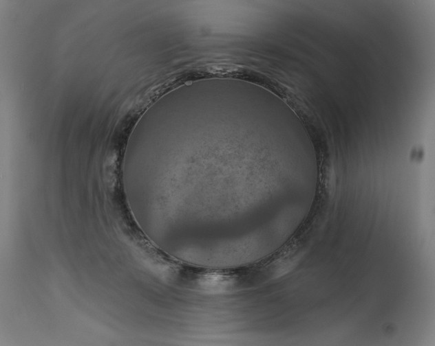 X0000115450319200911181553