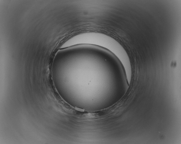 X0000115450320200911181553