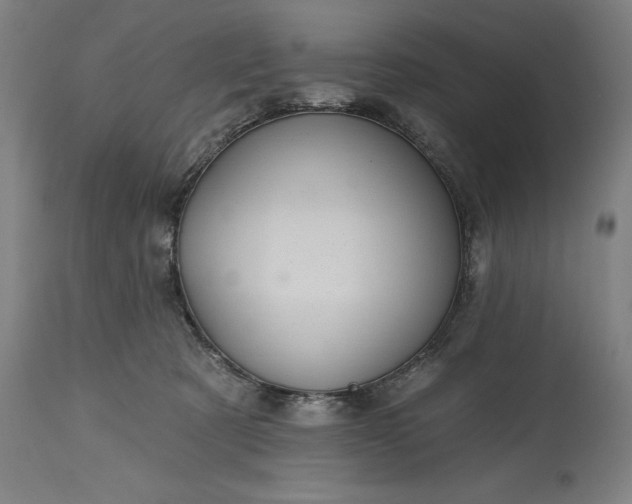 X0000115450321200911181553