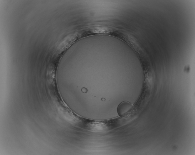 X0000115450322200911181553