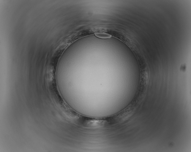 X0000115450323200911181553