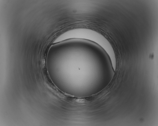 X0000115450324200911181553