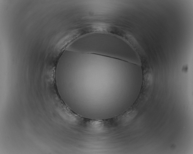 X0000115450325200911181553