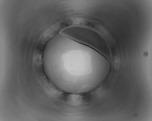 X0000115450327200911181553