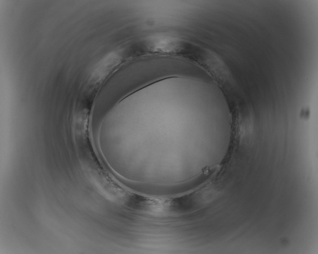 X0000115450328200911181553