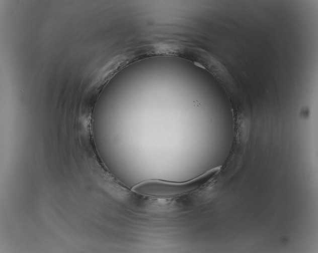 X0000115450329200911181553