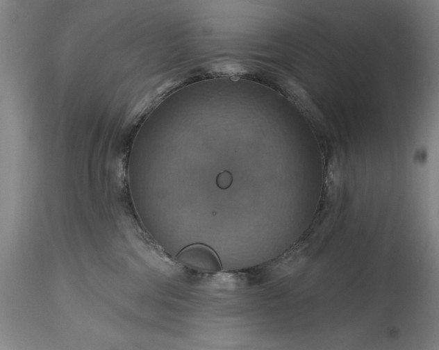 X0000115450330200911181553