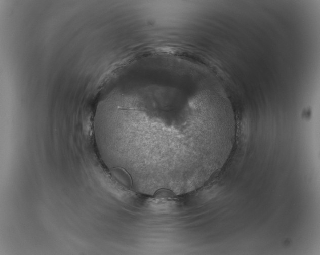 X0000115450331200911181553