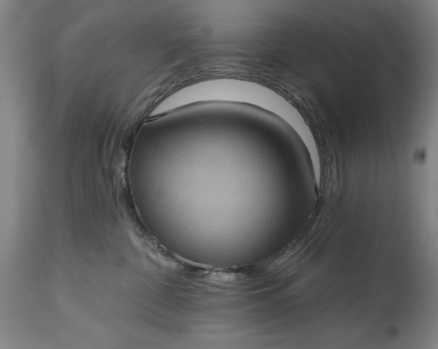 X0000115450332200911181553