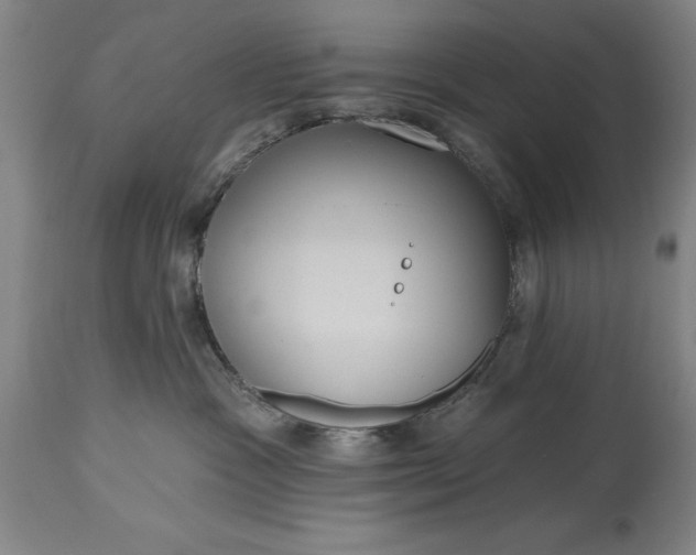 X0000115450333200911181553