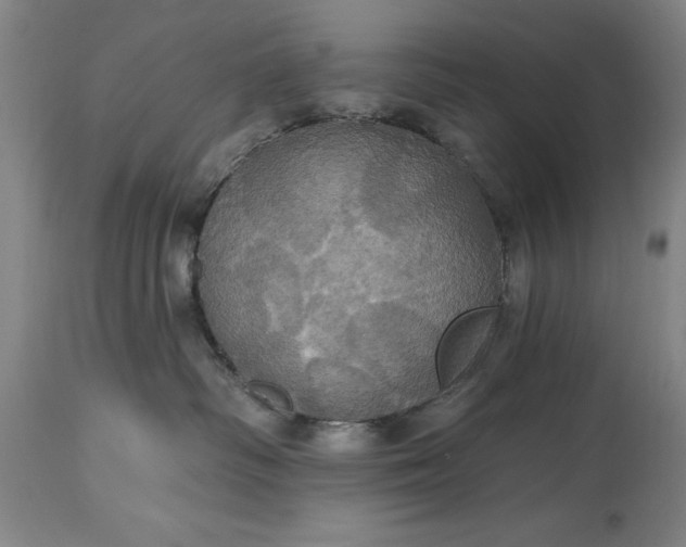 X0000115450334200911181553