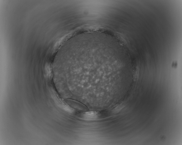 X0000115450335200911181553