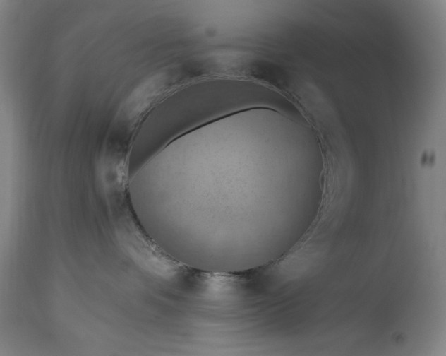 X0000115450336200911181553