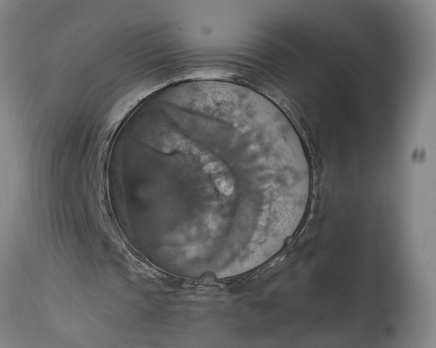 X0000115450337200911181552