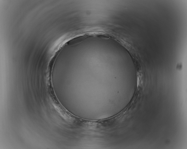 X0000115450339200911181552