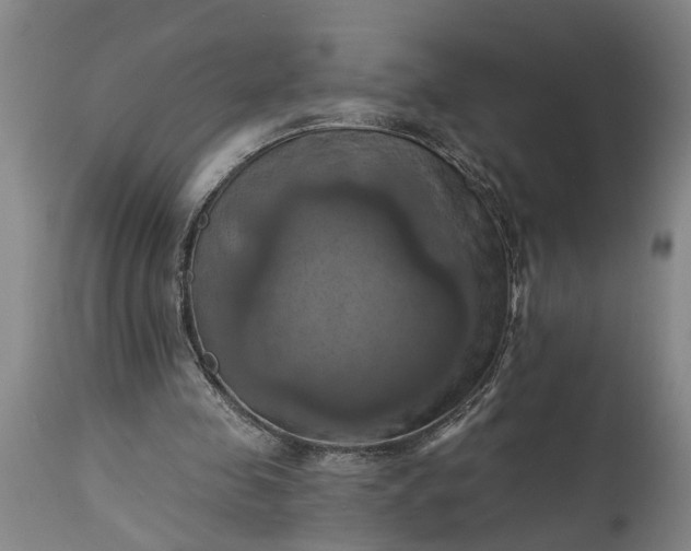 X0000115450341200911181552