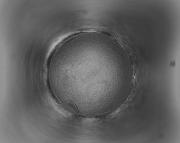 X0000115450342200911181552