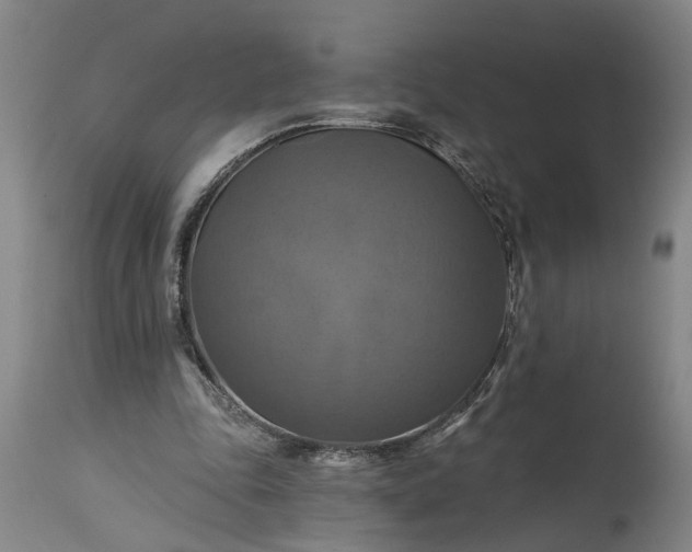 X0000115450343200911181552