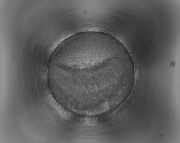 X0000115450345200911181552