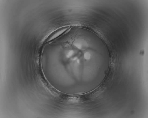 X0000115450347200911181552