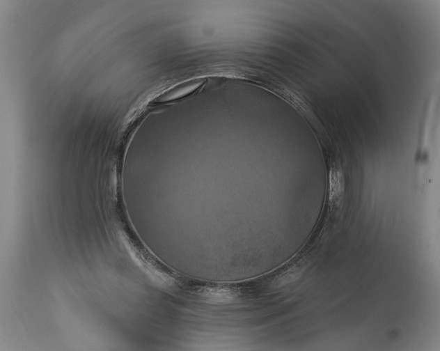 X0000115450349200911181552