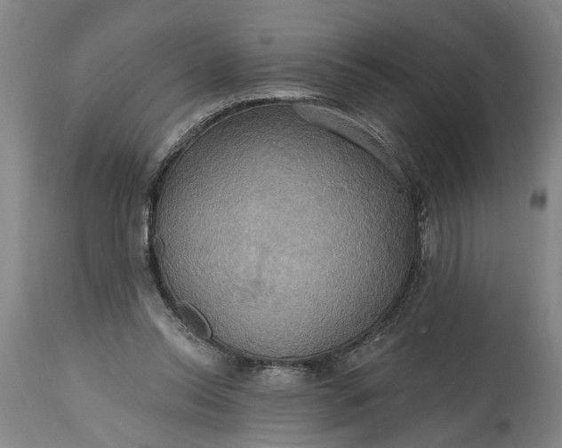 X0000115450350200911181552