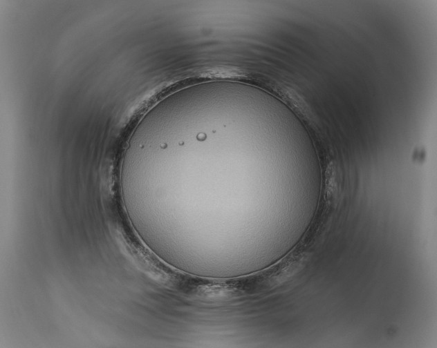 X0000115450351200911181552