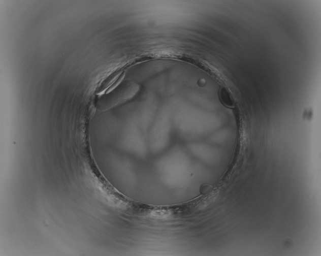 X0000115450353200911181552