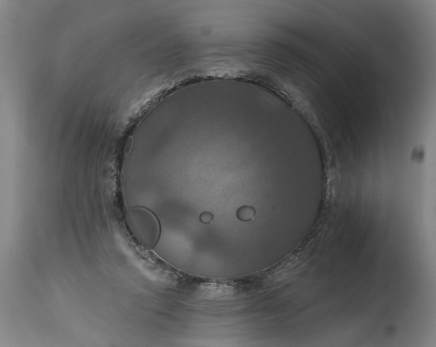 X0000115450354200911181552