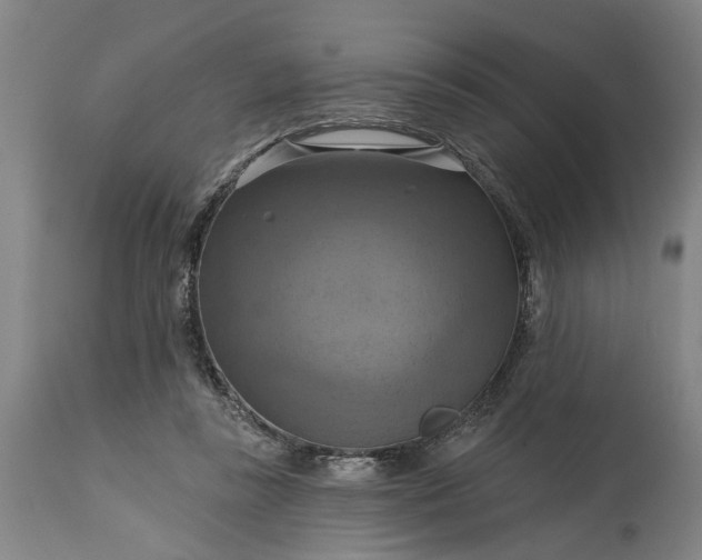 X0000115450355200911181552